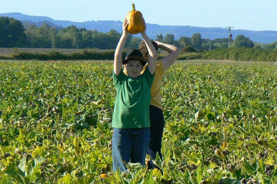 Children navigating the corn maze at Bella Organic Farm Portland 2025 with colorful autumn leaves