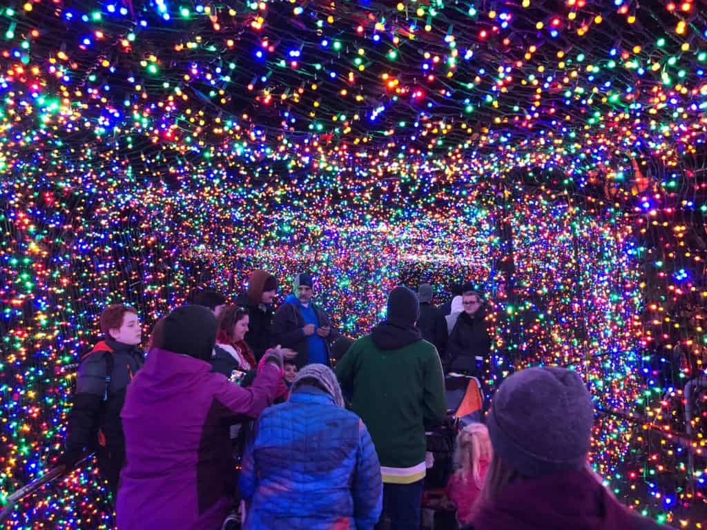 A glowing tunnel of lights at Oregon Zoo