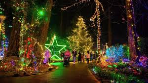 The Grotto Christmas Festival of Lights in Portland glowing in 2025