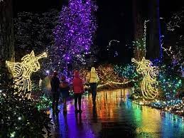 The Grotto Festival of Lights in Portland glowing at night during Christmas 2025.