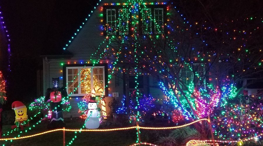 Visitors walking during pedestrian-only night at Peacock Lane Christmas lights 2025.